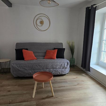 Superbe Appartement Au Coeur Du Centre Ville Каркасон Екстериор снимка