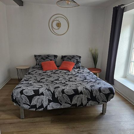 Superbe Appartement Au Coeur Du Centre Ville Каркасон Екстериор снимка